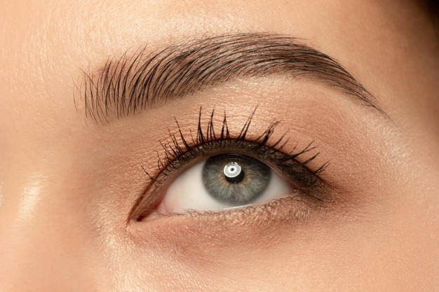 Sourcils & Cils